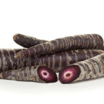 Bioconcolors, purple carrot, black carrot, colouring foodstuff, natural colors, anthocyanins