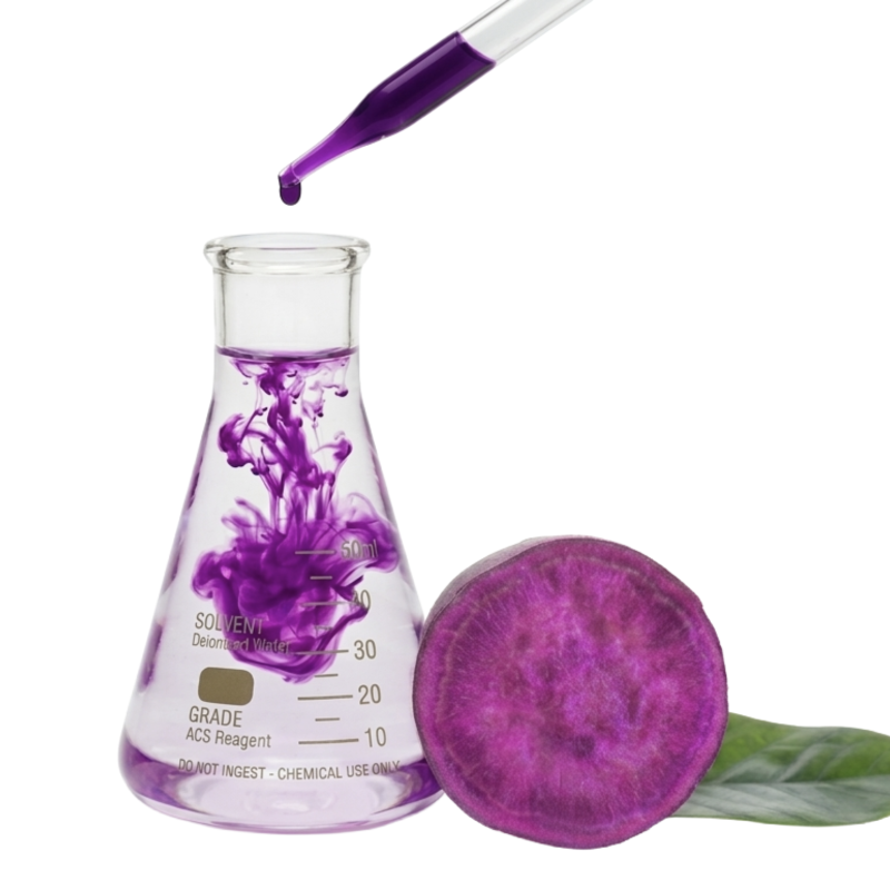 A purple sweet potato on a laboratory bench with a pipette adding a drop of purple colorant into an Erlenmeyer flask, where it is dispersing. This image represents the extraction and application process of BioconColors natural colorants.